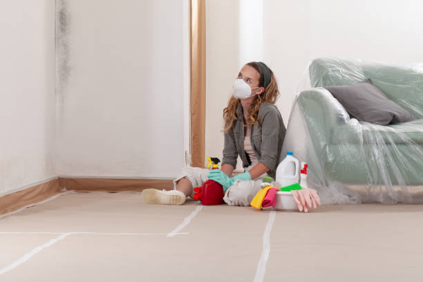 Reliable Mold Remediation contractor in DeWitt, MI by Mold Remediation HQ